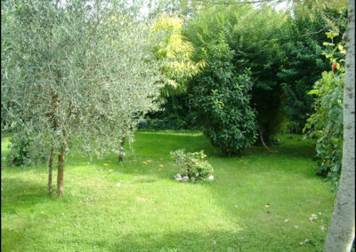 Giardino verde con alberi e sedute